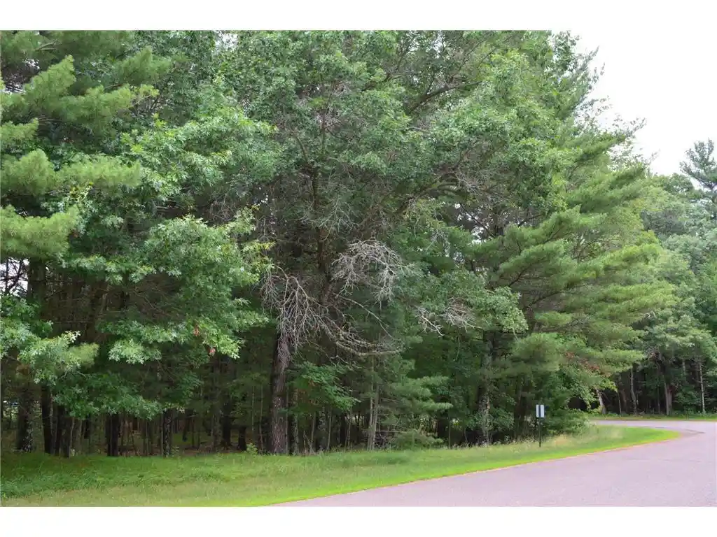 10th image of Tbd Benson Road Road, Grantsburg, WI 54840 | MLS# 7105917