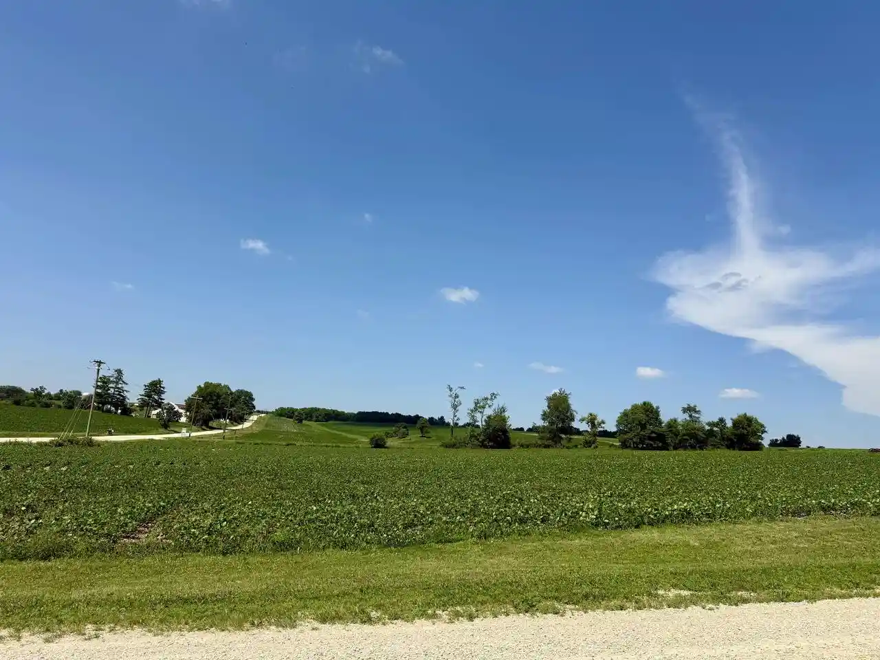 Homes for sale in Argyle, WI | 275 Ac Old Q Road Road, Argyle, WI 53516 | MLS# 2027677