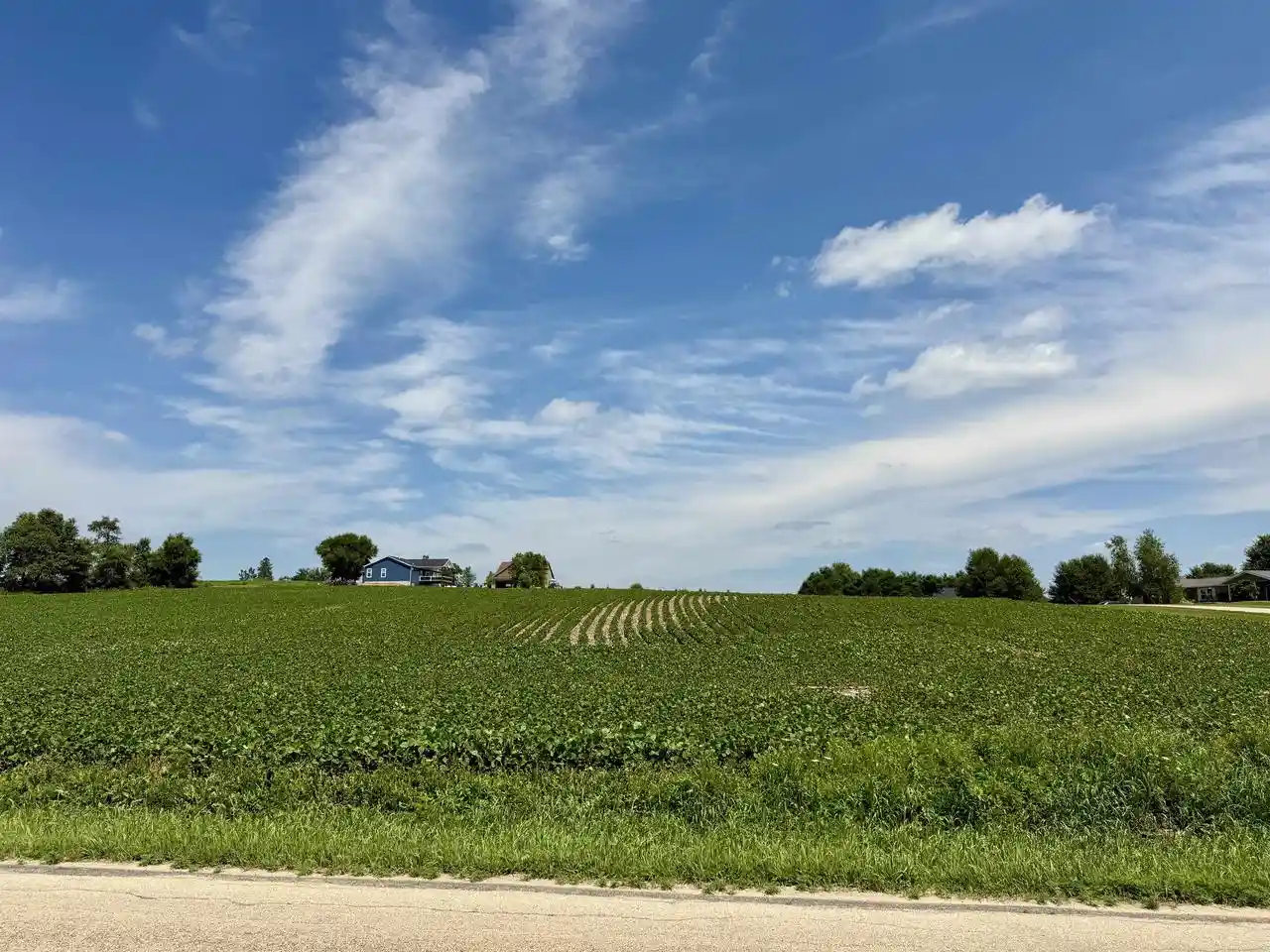 Homes for sale in Argyle, WI | 275 Ac Old Q Road Road, Argyle, WI 53516 | MLS# 2027677