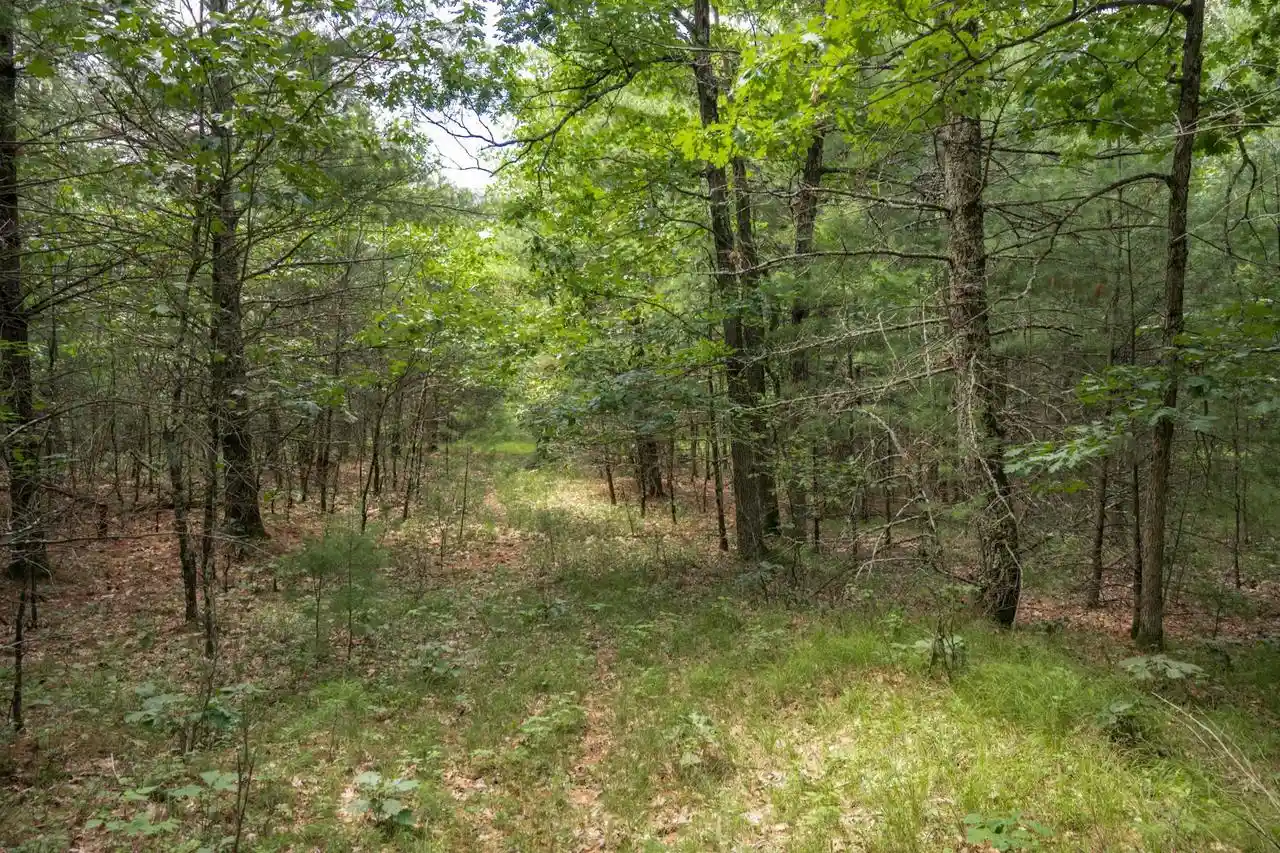 Homes for sale in Arkdale, WI | 1617 20th Avenue Avenue, Arkdale, WI 54613 | MLS# 2027680