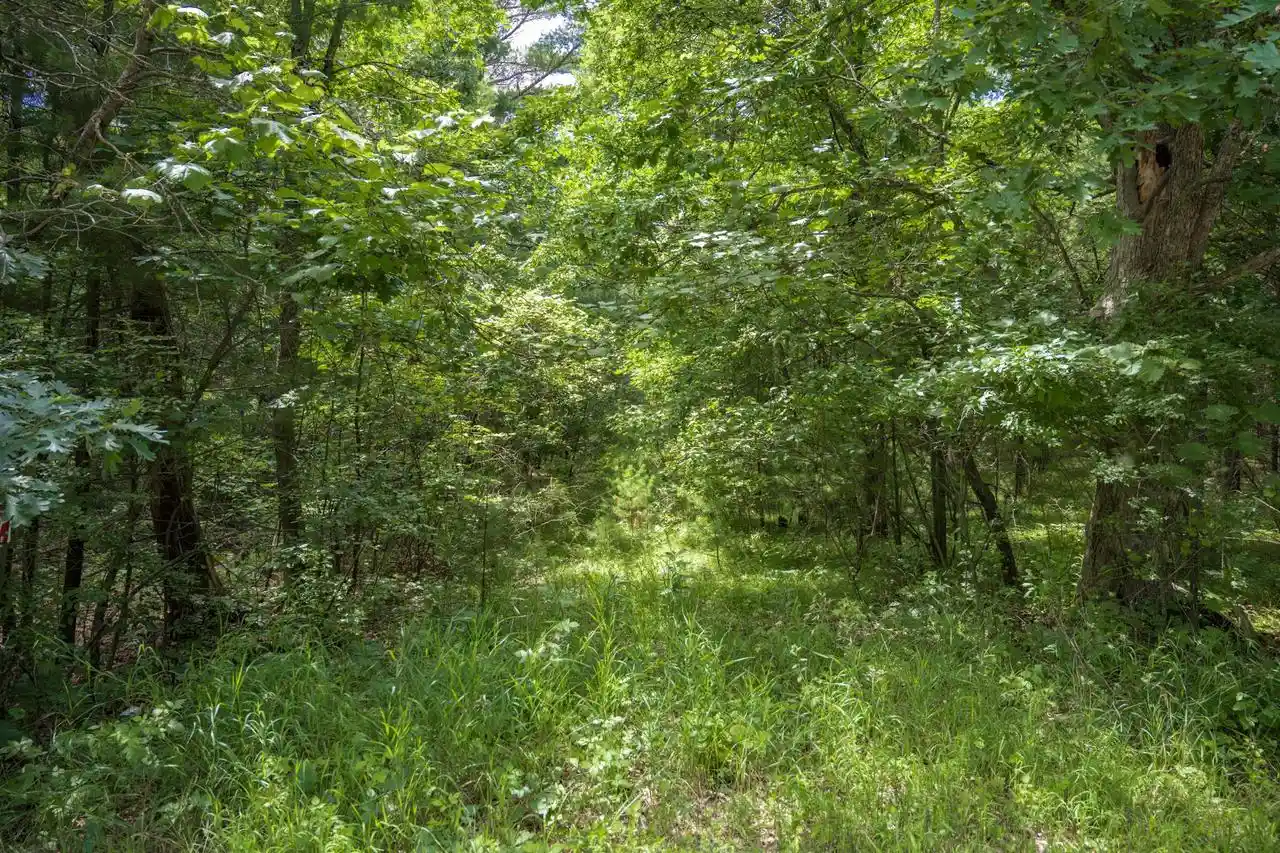 Homes for sale in Arkdale, WI | 1617 20Th Avenue Avenue, Arkdale, WI 54613 | MLS# 2027680