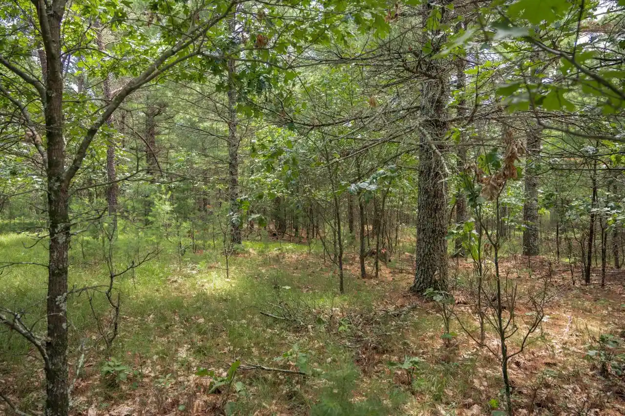 Homes for sale in Arkdale, WI | 1617 20Th Avenue Avenue, Arkdale, WI 54613 | MLS# 2027680