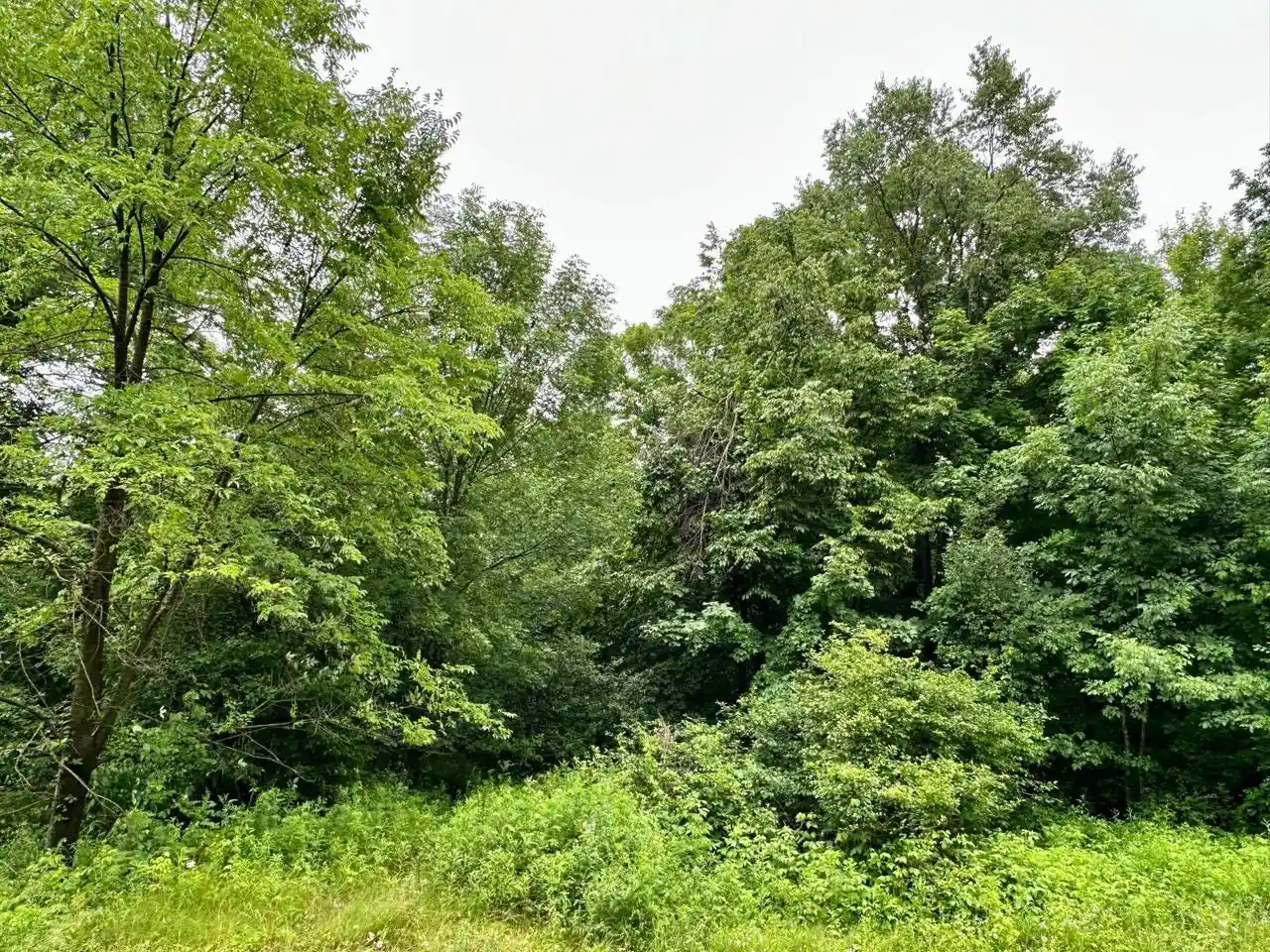Homes for sale in Wittenberg, WI | Lot 13 Thorn Apple Dr Dr, Wittenberg, WI 54499 | MLS# 22603181