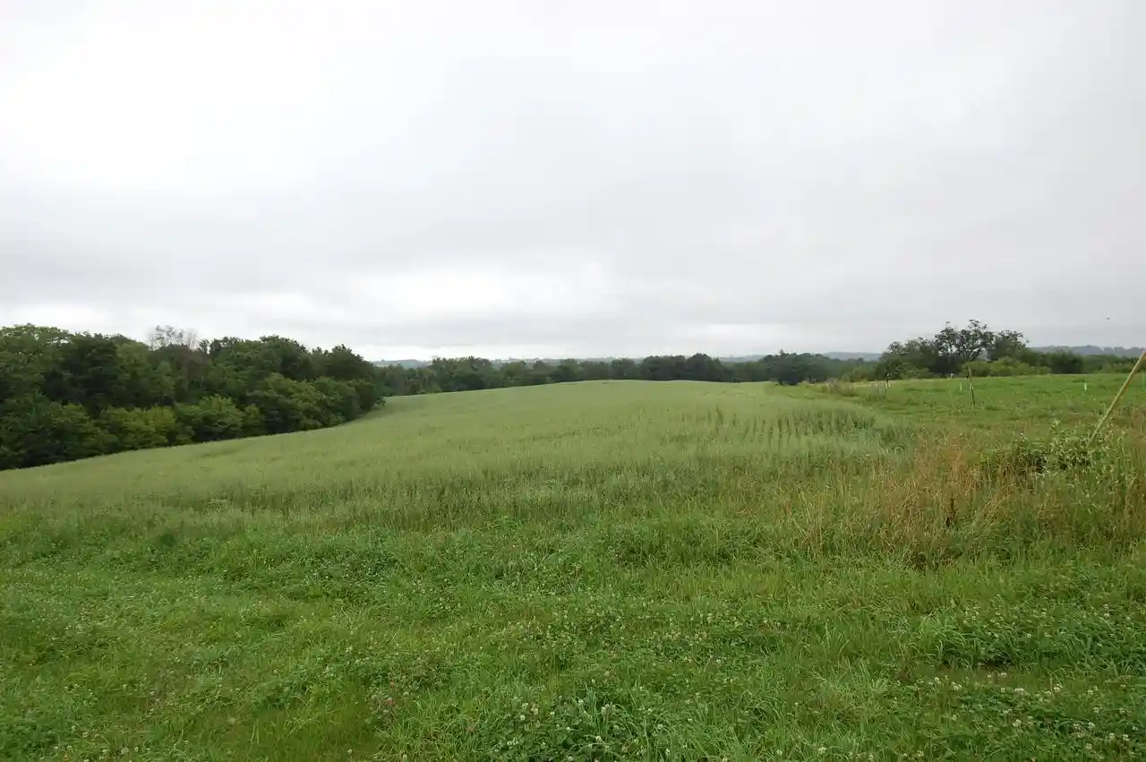 Homes for sale in Soldiers Grove, WI | 999 Halverson Ridge Road Road, Soldiers Grove, WI 54655 | MLS# 2027701
