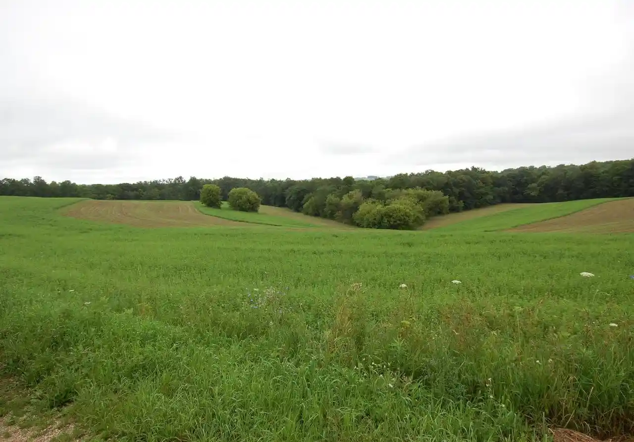 Homes for sale in Soldiers Grove, WI | 999 Halverson Ridge Road Road, Soldiers Grove, WI 54655 | MLS# 2027701
