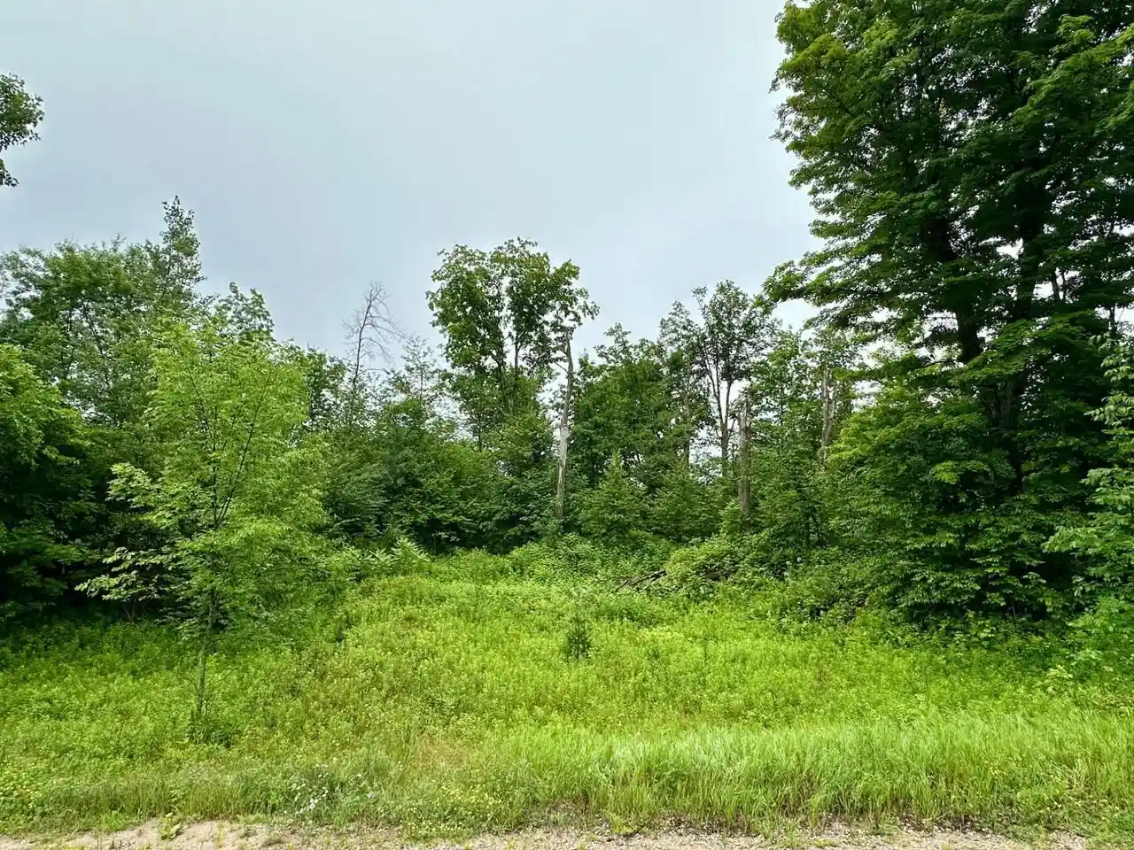 Homes for sale in Wittenberg, WI | Lot 14 Thorn Apple Dr Dr, Wittenberg, WI 54499 | MLS# 22603183