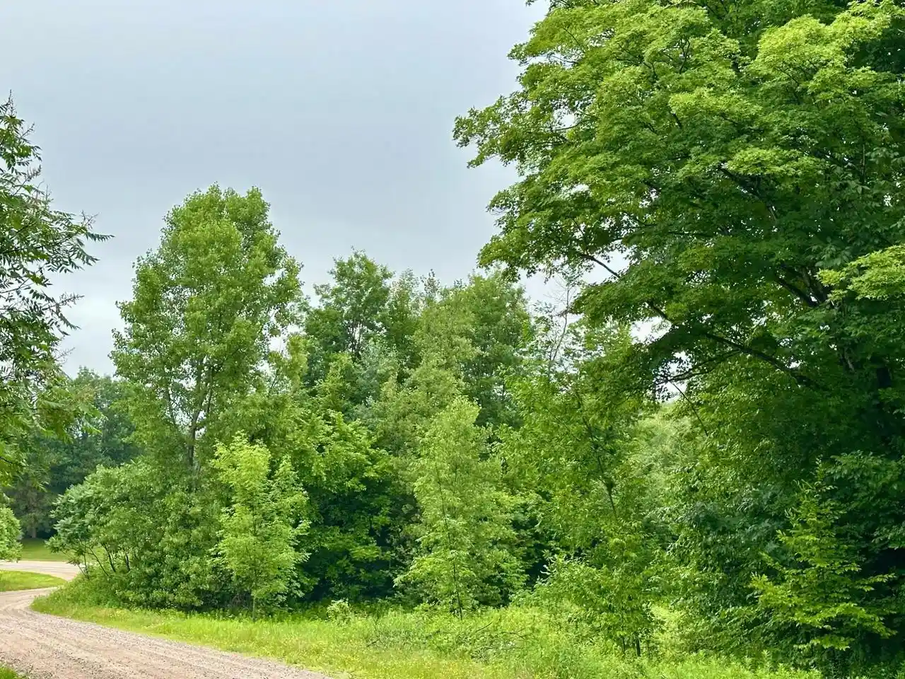 Homes for sale in Wittenberg, WI | Lot 14 Thorn Apple Dr Dr, Wittenberg, WI 54499 | MLS# 22603183