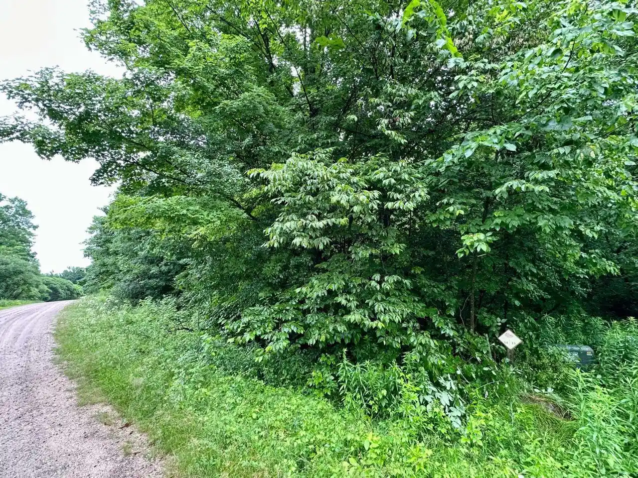 Homes for sale in Wittenberg, WI | Lot 14 Thorn Apple Dr Dr, Wittenberg, WI 54499 | MLS# 22603183