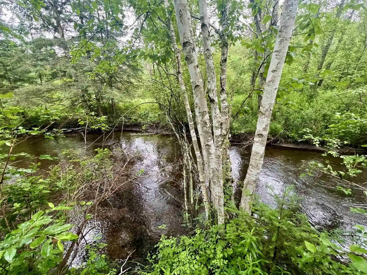 1st image of W8801 Moonshine Hill Road Road, Crivitz, WI 54114 | MLS# 50328788