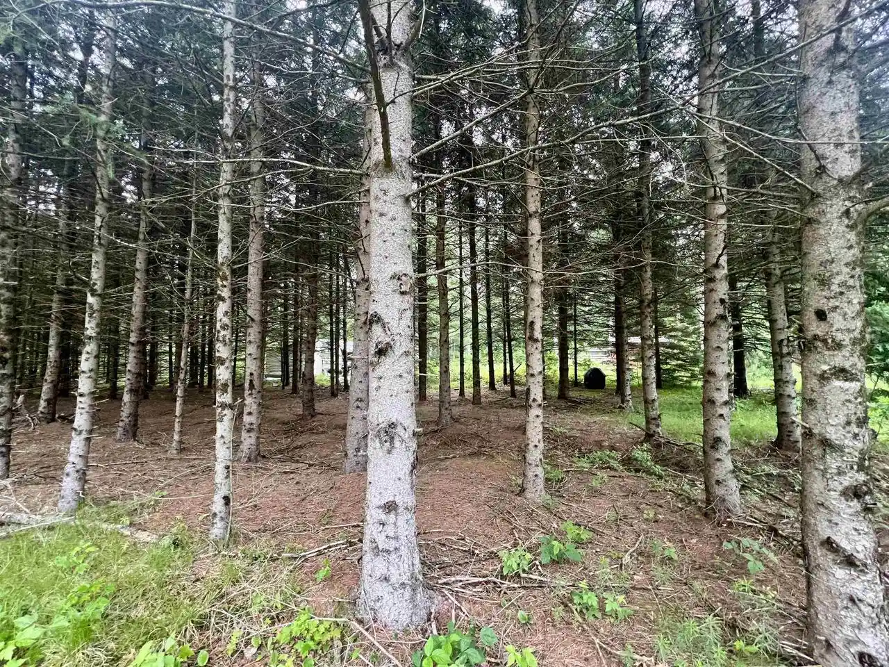 2nd image of W8801 Moonshine Hill Road Road, Crivitz, WI 54114 | MLS# 50328788