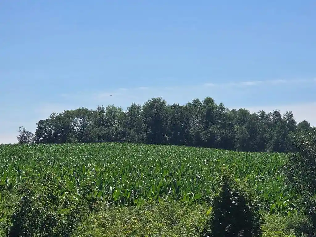 1st image of 00 110th, Frederic, WI 54837 | MLS# 1603088