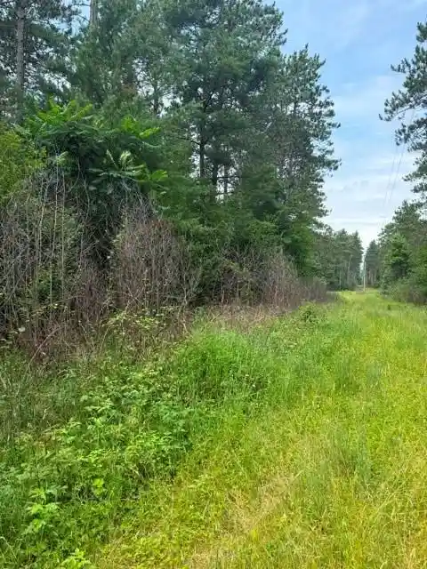 Homes for sale in Black River Falls, WI | 0 West Rd, Black River Falls, WI 54615 | MLS# 1603057