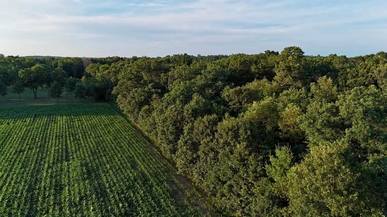 68th image of W5587 County Road Z, Westfield, WI 53964 | MLS# 2027721