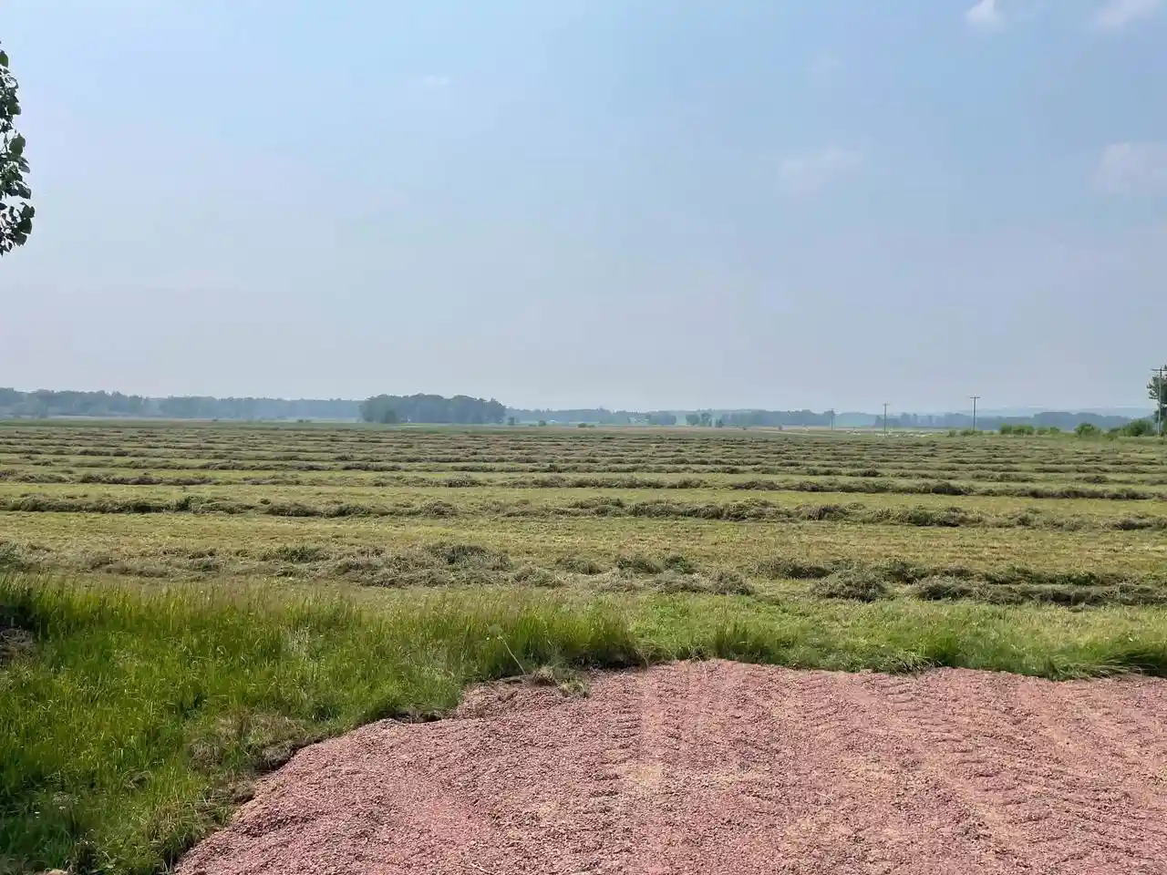 3rd image of 2200302C Polish Road Road, Pittsville, WI 54466 | MLS# 22603213