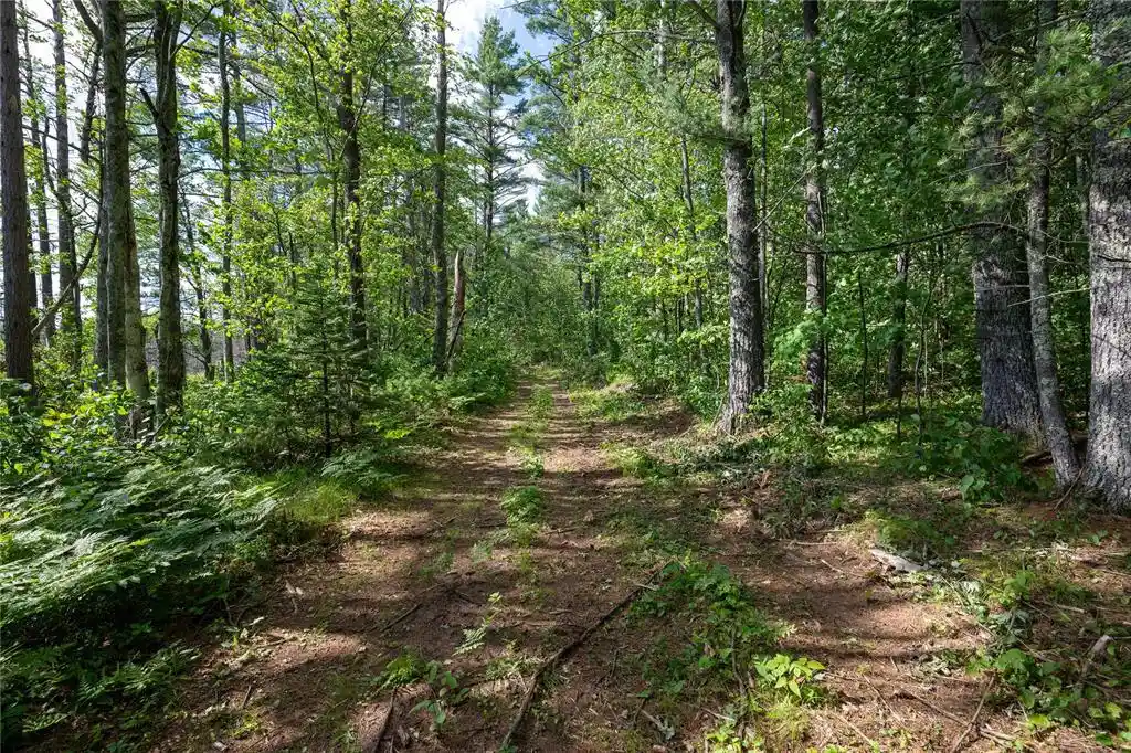 3rd image of 11401N Vasa Road Road, Hayward, WI 54843 | MLS# 1603030