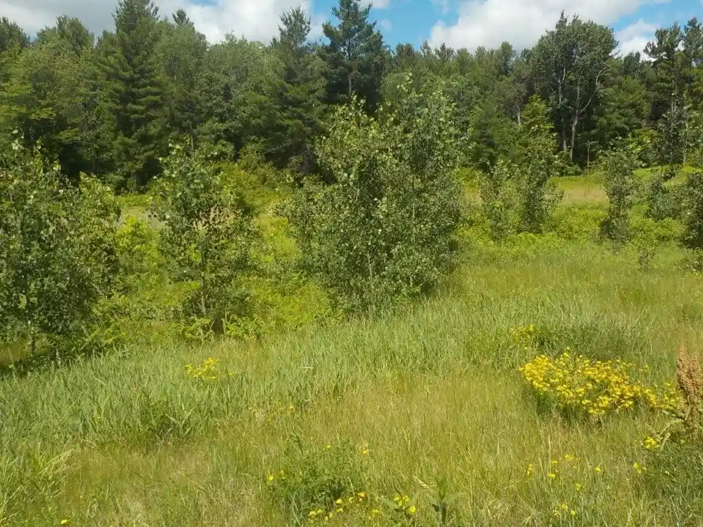 4th image of 24361 Hwy 35/70, Siren, WI 54872 | MLS# 1603131