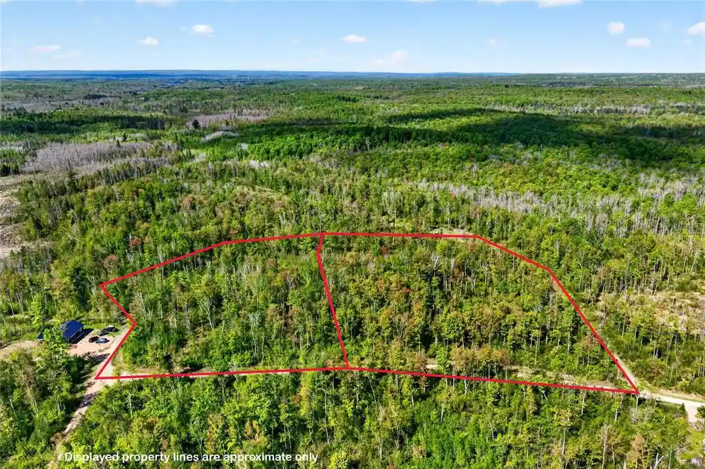 Homes for sale in Ojibwa, WI | Lot 40 And 41 Horse Creek Trail, Ojibwa, WI 54862 | MLS# 1603144