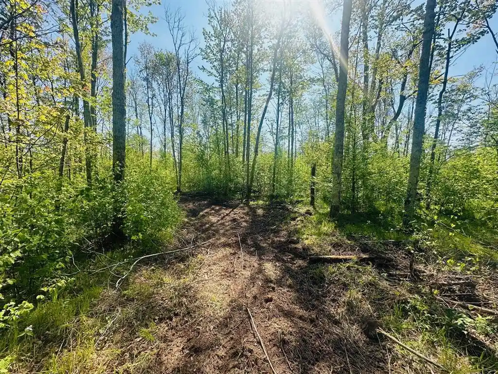 Homes for sale in Ojibwa, WI | Lot 40 And 41 Horse Creek Trail, Ojibwa, WI 54862 | MLS# 1603144
