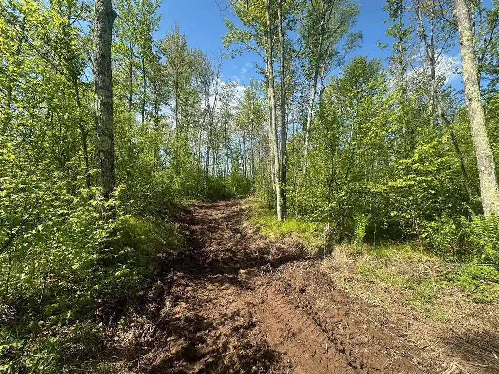 Homes for sale in Ojibwa, WI | Lot 40 And 41 Horse Creek Trail, Ojibwa, WI 54862 | MLS# 1603144