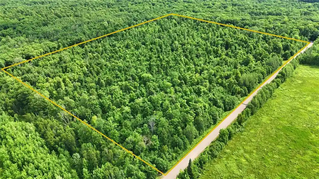Photo 1 of Land for sale at Xxx W Eckel Lane Lane Lane, Exeland, WI 54835 | MLS# 1603143 | Listing updated on 2026-08-30