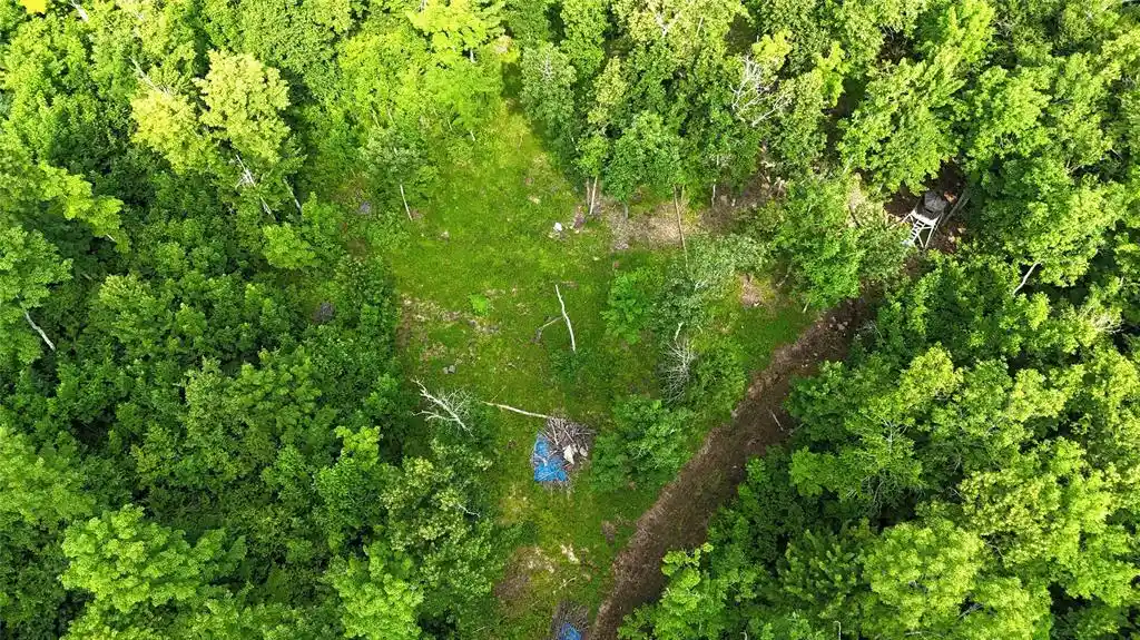 Photo 3 of Land for sale at Xxx W Eckel Lane Lane Lane, Exeland, WI 54835 | MLS# 1603143 | Listing updated on 2026-08-30