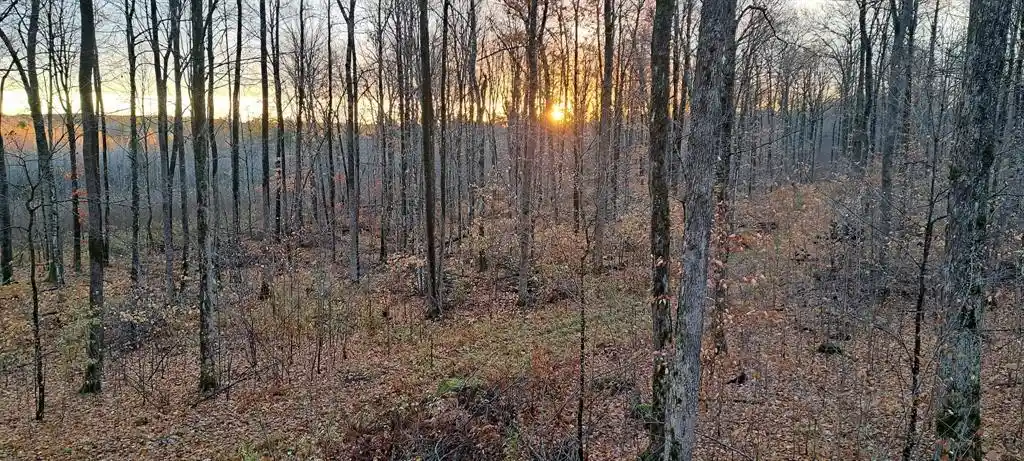 Photo 4 of Land for sale at Xxx W Eckel Lane Lane Lane, Exeland, WI 54835 | MLS# 1603143 | Listing updated on 2026-08-30