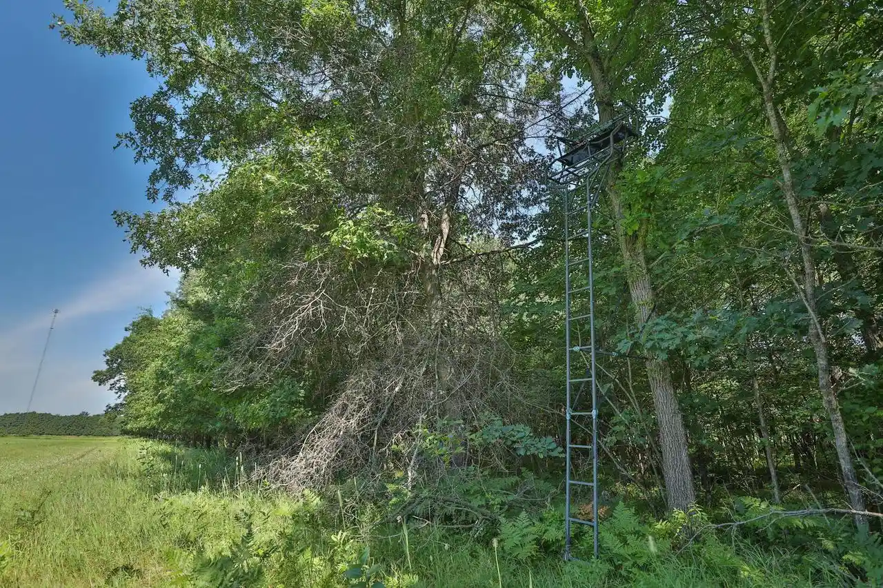 2nd image of 3885 Ac County Road E, Pittsville, WI 54466 | MLS# 2027821