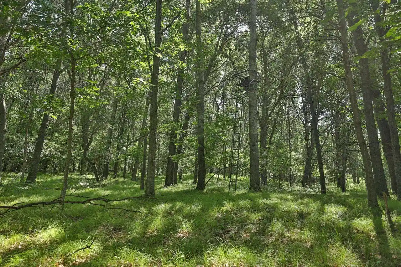 4th image of 3885 Ac County Road E, Pittsville, WI 54466 | MLS# 2027821