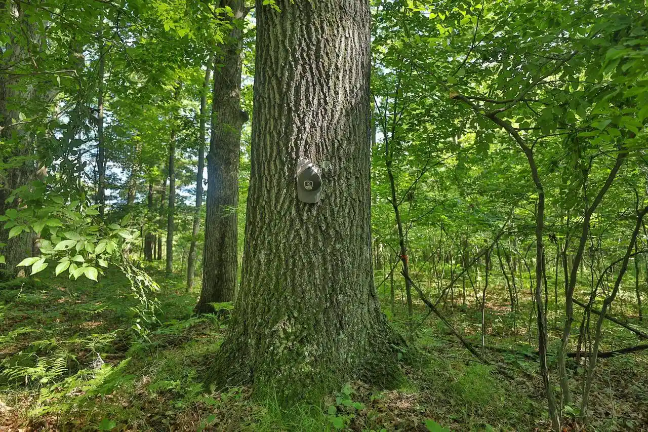 5th image of 3885 Ac County Road E, Pittsville, WI 54466 | MLS# 2027821