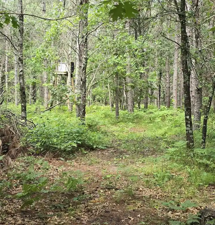 4th image of 26131 Ostergren Road Road, Webster, WI 54893 | MLS# 1603028