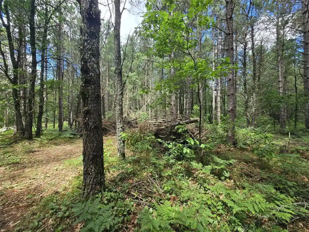 5th image of 26131 Ostergren Road Road, Webster, WI 54893 | MLS# 1603028