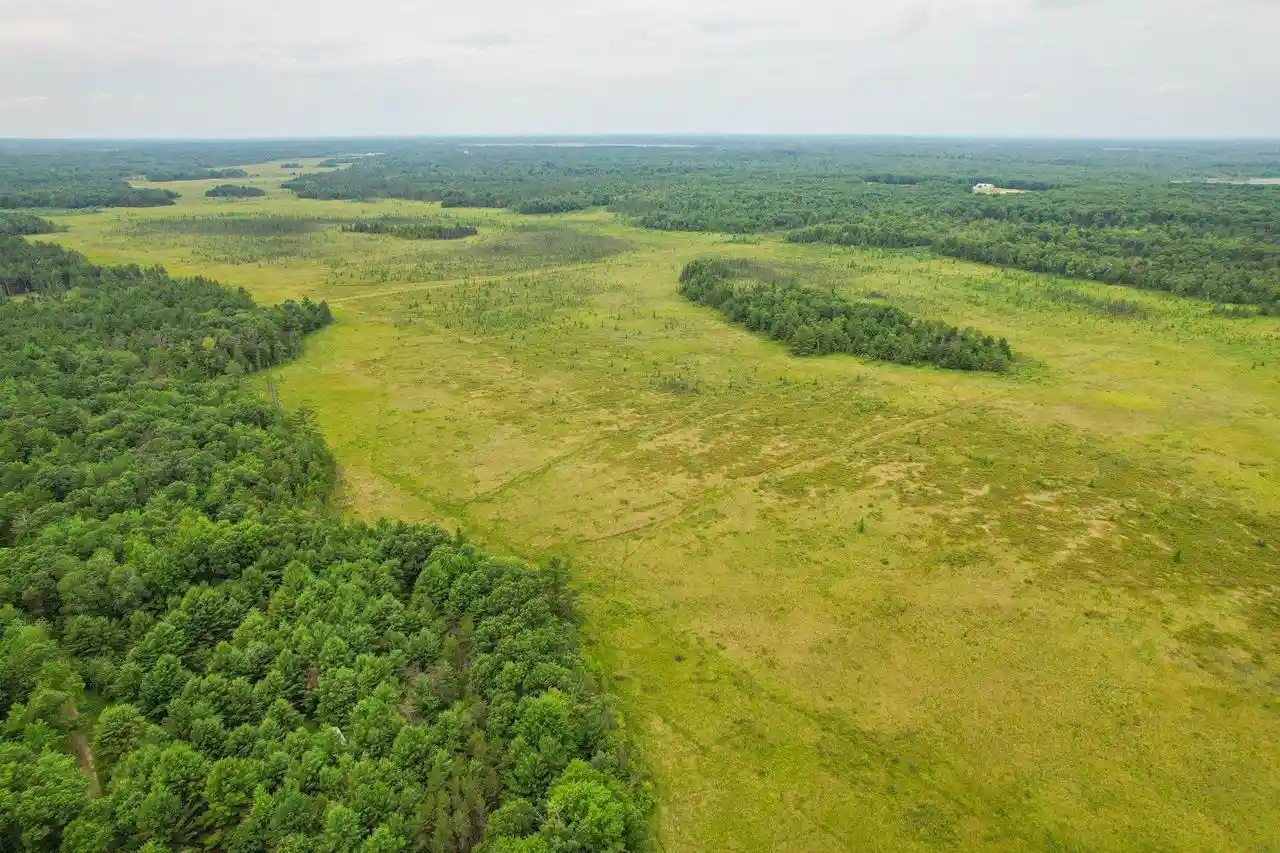 1st image of 000 Cty Hwy Z, Pittsville, WI 54466 | MLS# 2027844