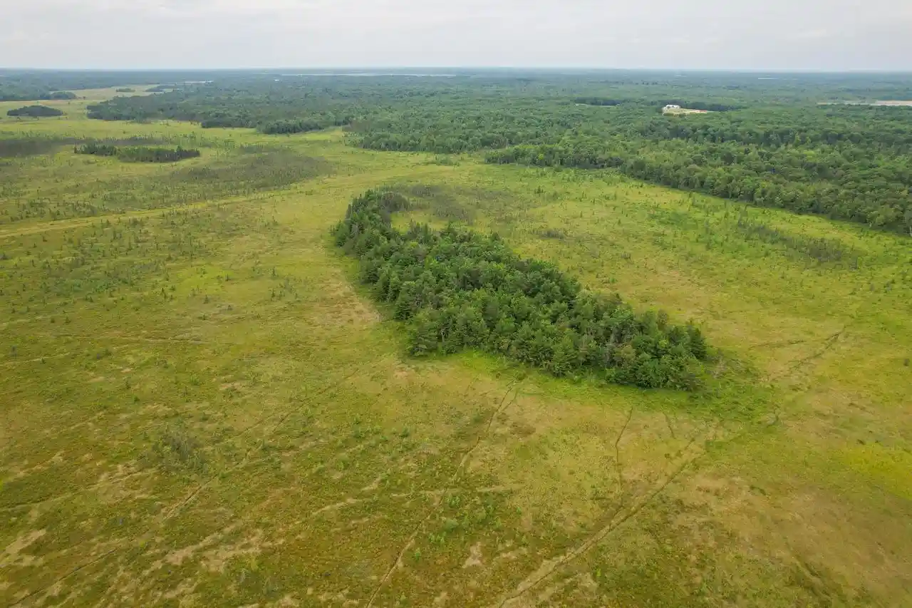 2nd image of 000 Cty Hwy Z, Pittsville, WI 54466 | MLS# 2027844