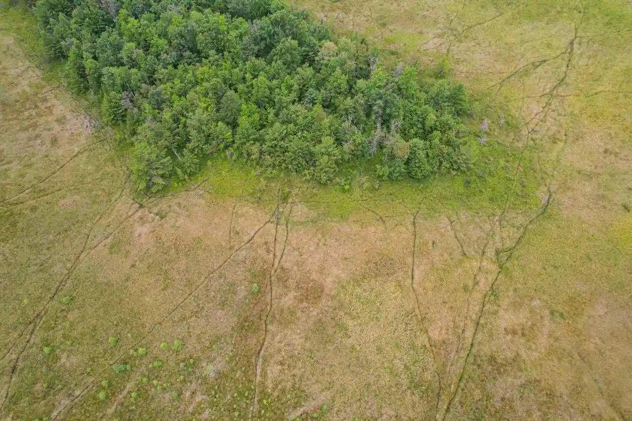 3rd image of 000 Cty Hwy Z, Pittsville, WI 54466 | MLS# 2027844