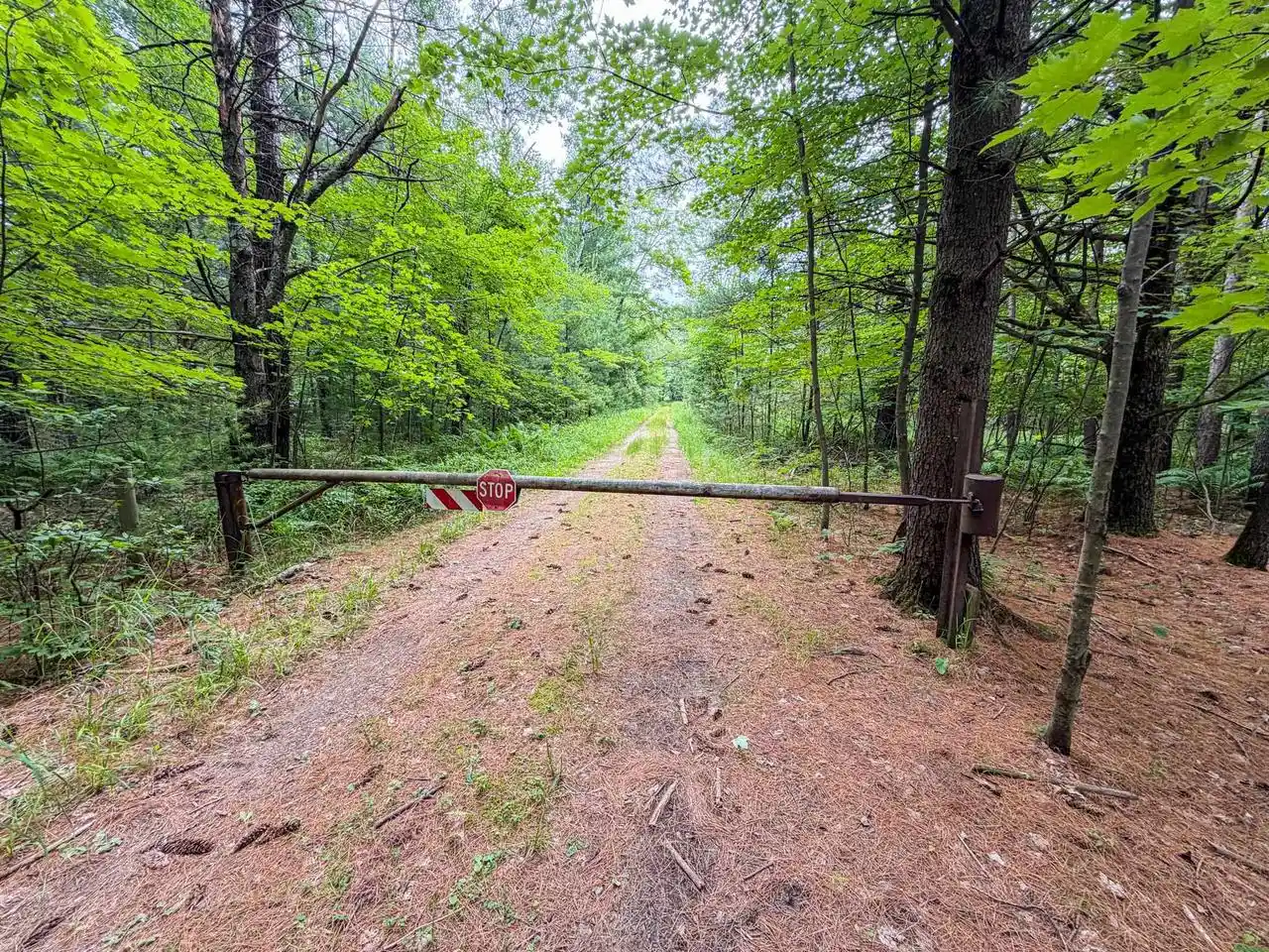 90th image of 000 Cty Hwy Z, Pittsville, WI 54466 | MLS# 2027844