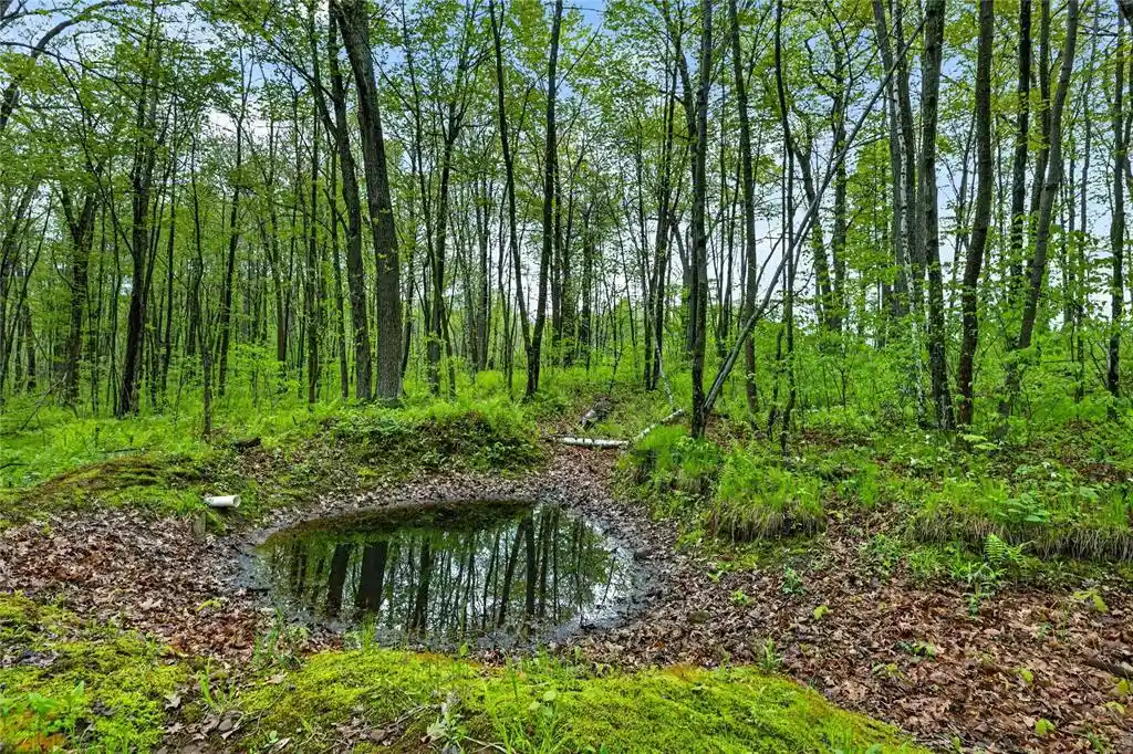 2nd image of N8771 Fye Road Road, Trego, WI 54888 | MLS# 1603147