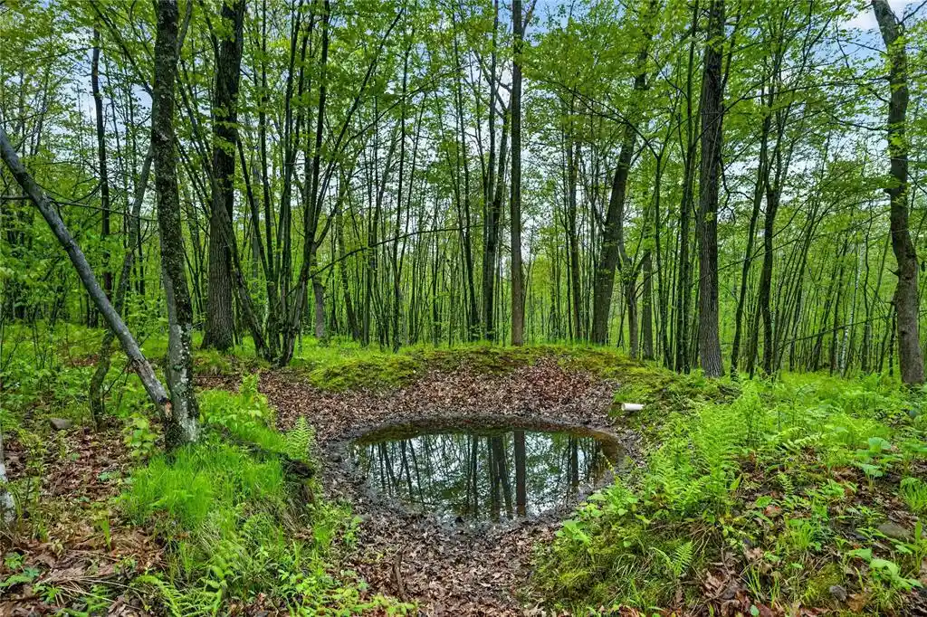 Photo 3 of Land for sale at N8771 Fye Road Road, Trego, WI 54888 | MLS# 1603147 | Listing updated on 2026-07-11