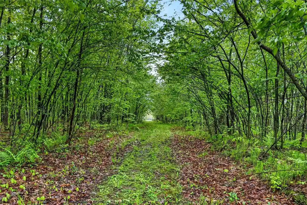 38th image of N8771 Fye Road Road, Trego, WI 54888 | MLS# 1603147