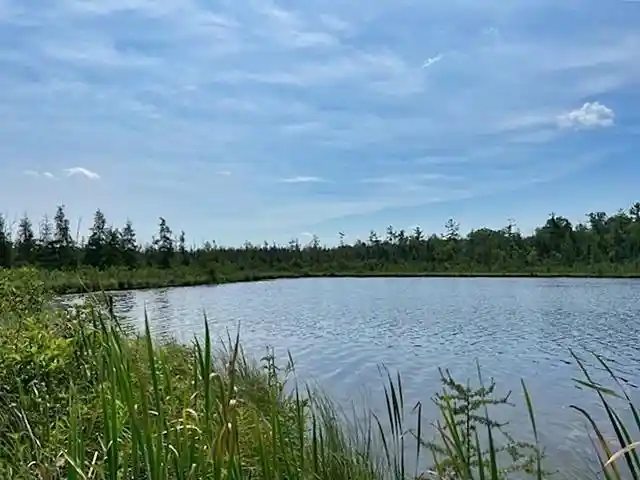 2nd image of W7715 Moonshine Hill Road Road, Crivitz, WI 54114 | MLS# 50328983