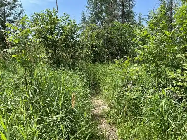 3rd image of W7715 Moonshine Hill Road Road, Crivitz, WI 54114 | MLS# 50328983