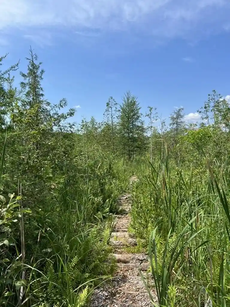 4th image of W7715 Moonshine Hill Road Road, Crivitz, WI 54114 | MLS# 50328983
