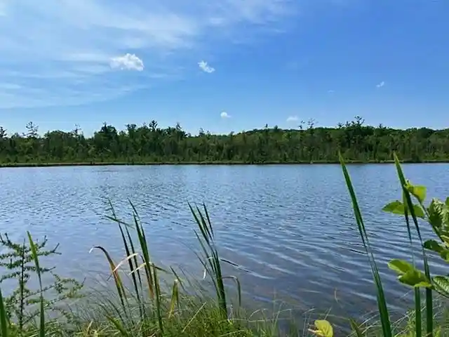 19th image of W7715 Moonshine Hill Road Road, Crivitz, WI 54114 | MLS# 50328983