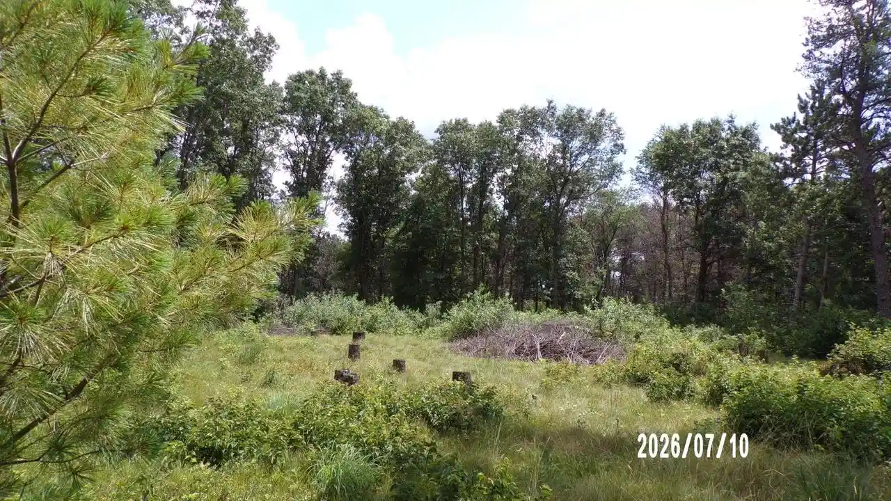 Photo 3 of Land for sale at 967 Cambridge Court Court, Nekoosa, WI 54457 | MLS# 2027935 | Listing updated on 2026-07-13