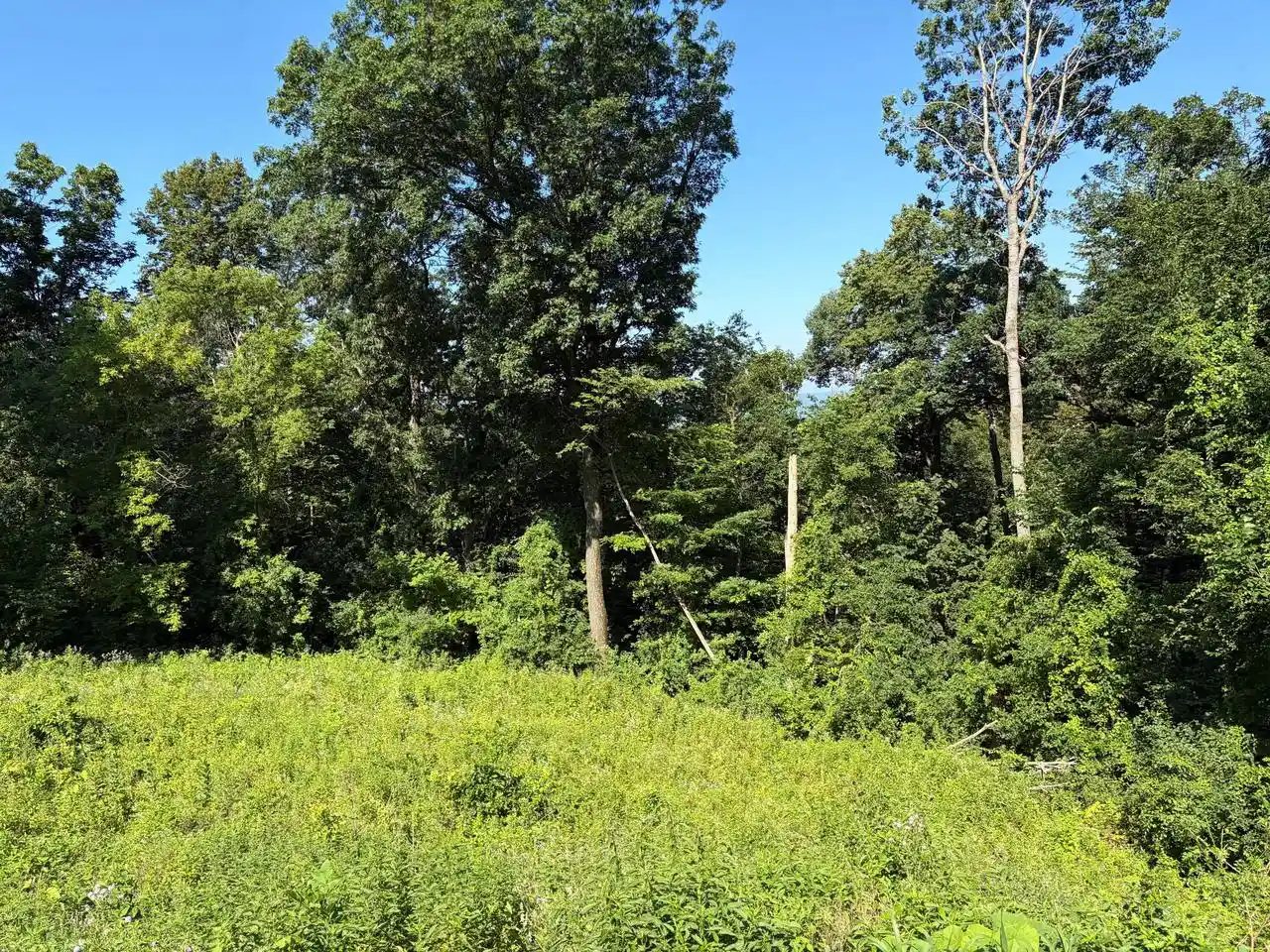 Photo 1 of Land for sale at N2325 Loch Nairn Court Court, La Crosse, WI 54601 | MLS# 1971458 | Listing updated on 2026-08-21