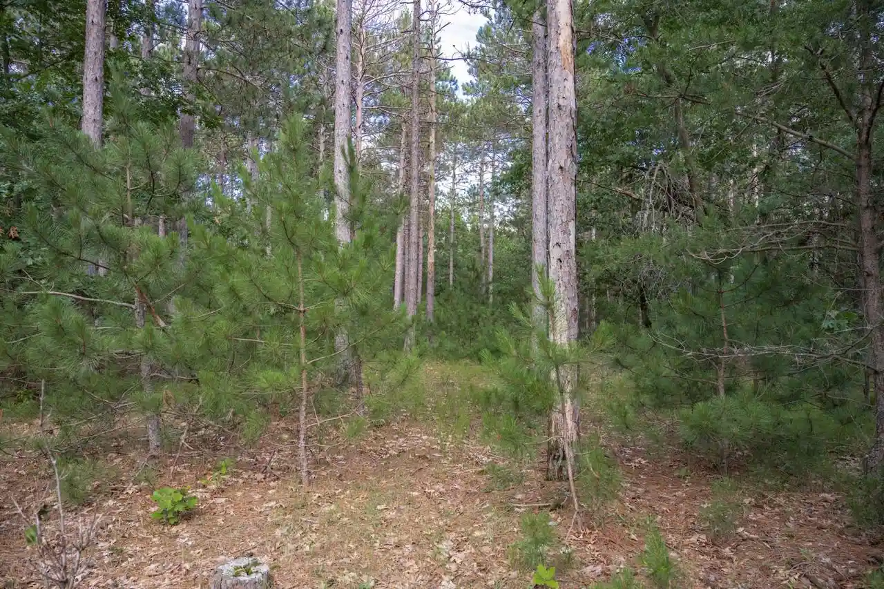 15th image of Lot 23 Dover Dr Dr, Friendship, WI 53934 | MLS# 2027951