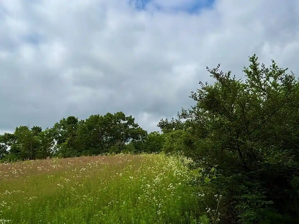 2nd image of 0 Co Hwy 13, Houston, MN 55943 | MLS# 1971473