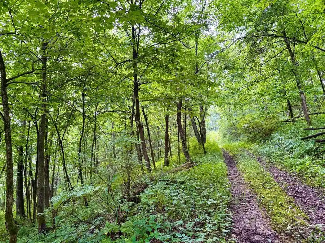 3rd image of 0 Co Hwy 13, Houston, MN 55943 | MLS# 1971473