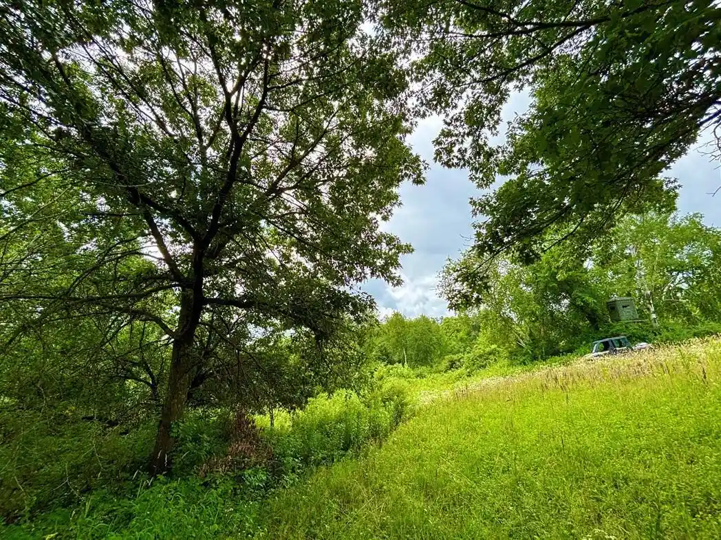 53rd image of 0 Co Hwy 13, Houston, MN 55943 | MLS# 1971473