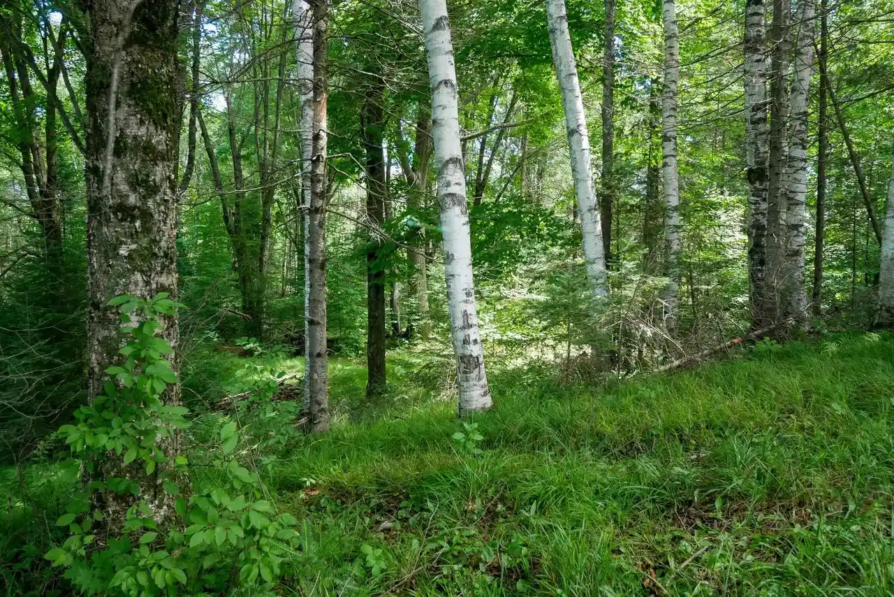 2nd image of N7541 Fischer Creek Road Road, Westboro, WI 54490 | MLS# 22603256