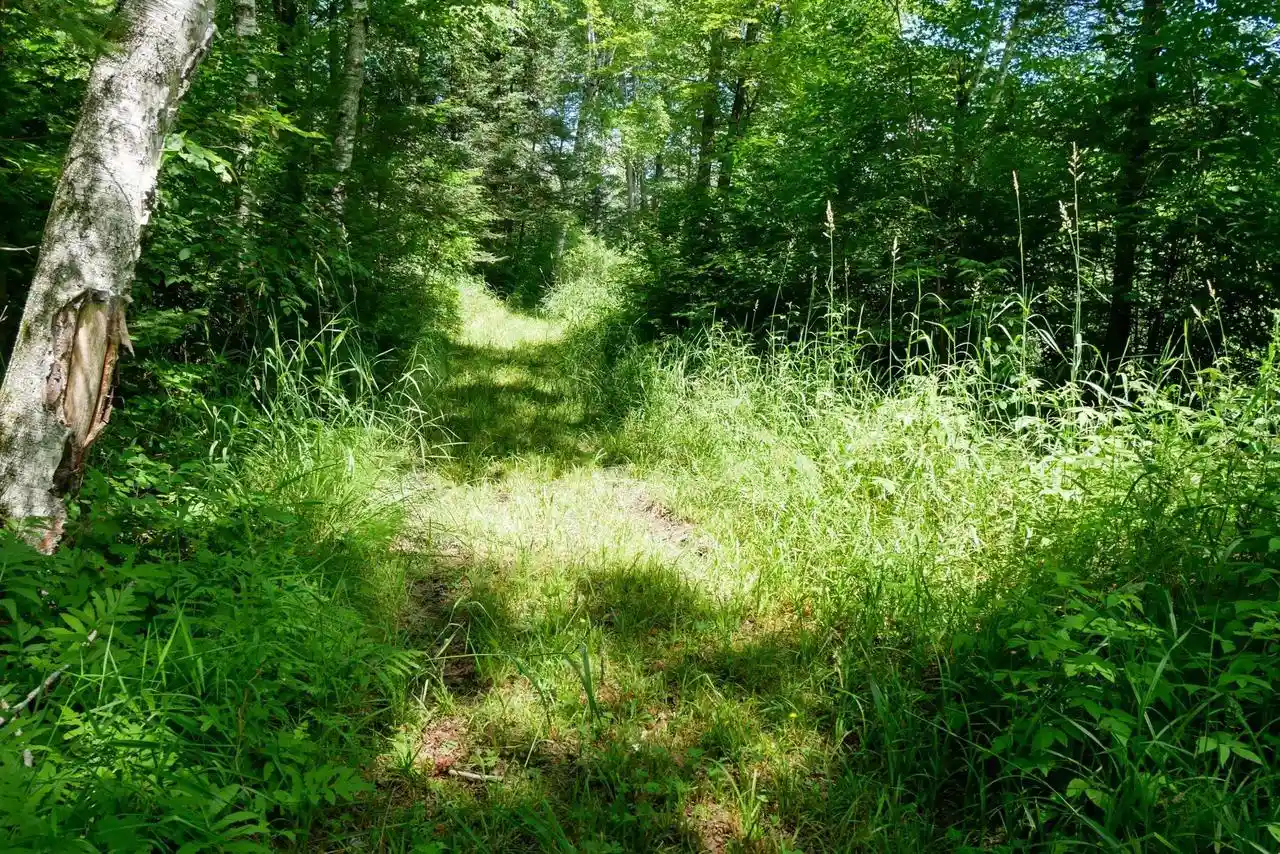 3rd image of N7541 Fischer Creek Road Road, Westboro, WI 54490 | MLS# 22603256
